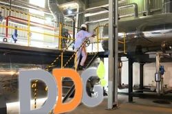 Lỗ hơn 330 tỷ đồng một năm, DDG vẫn kỳ vọng đảo chiều trong năm 2026