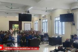 Nhận hối lộ để giúp doanh nghiệp nhận tiền hỗ trợ trong dự án phát triển chè