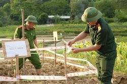 Khẩn trương khoanh vùng, bảo đảm an toàn khu vực hố sụt tại xã Trường Hà