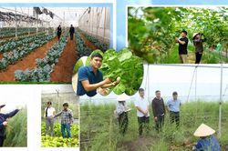 Lai Châu duy trì đà tăng trưởng tích cực