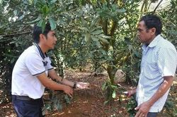 Hiệu quả từ ch&iacute;nh s&aacute;ch đất đai đối với đồng b&agrave;o d&acirc;n tộc thiểu số ở x&atilde; bi&ecirc;n giới