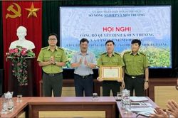 Tp. Huế: Tăng cường bảo vệ rừng, chủ động ứng phó nguy cơ cháy rừng trong mùa nắng nóng