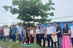 Khuyến nông Đắk Lắk chia sẻ kinh nghiệm ứng dụng công nghệ số trong sản xuất nông nghiệp