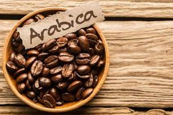 Giá cà phê hôm nay 6/6/2026: Arabica chạm 'đáy' 18 tháng