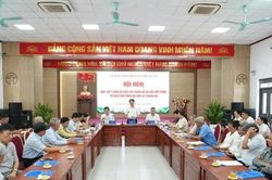 Thuận An: Sắp xếp thôn, tổ dân phố hướng tới quản lý hiệu quả hơn