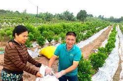 Nông dân Nam Phù phát huy vai trò 'hạt nhân xanh' trong bảo vệ môi trường