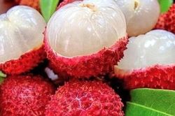 Loại quả mùa hè được chuyên gia Mỹ đánh giá cao, bán đầy chợ Việt, ăn đúng cách mang lại nhiều lợi ích sức khỏe, sống thọ