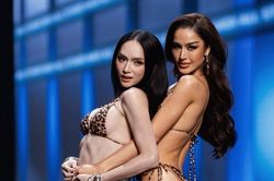 Bội thực với các cuộc thi hoa hậu của ông Nawat