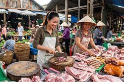 Giá heo hơi hôm nay 7.6: Nhiều địa phương xuống còn 64.000 đồng/kg