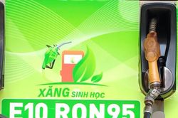 [Video] Kiểm tra, giám sát chất lượng xăng E10 tại nhiều địa phương