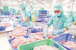 Bước chuyển bền vững cho ngành hàng thủy sản chiến lược