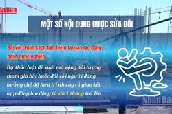 [Video] Đề xuất mở rộng đối tượng tham gia bảo hiểm tai nạn lao động bắt buộc