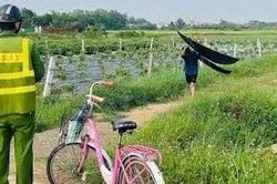 Lại phát hiện có diều tại Nội Bài, nhiều chuyến bay phải tạm dừng cất cánh
