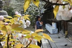 Giữa Kyoto, như nghe thời gian thở