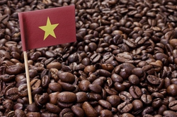Bản tin nông sản hôm nay (7-6): Giá cà phê tiếp tục giảm