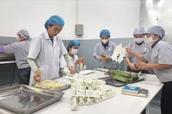 Hợp tác xã dẫn dắt nông dân tham gia 'sân chơi lớn'