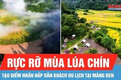 Măng Đen rực rỡ mùa lúa chín