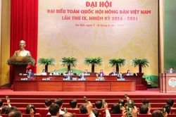 Tiếp tục phát huy vai trò nông dân là chủ thể, trung tâm trong phát triển nông nghiệp