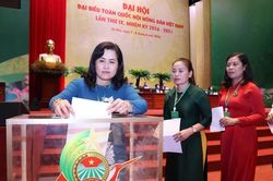 Đại hội lần thứ IX Hội Nông dân Việt Nam bầu Ban Chấp hành khóa mới