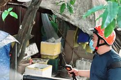 TPHCM bước vào giai đoạn cảnh giác cao độ với sốt xuất huyết Dengue