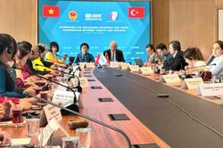 Tăng cường kết nối doanh nghiệp Việt Nam-Thổ Nhĩ Kỳ từ Istanbul