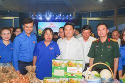 Tuổi trẻ Hải Phòng ra quân tình nguyện hè 2026