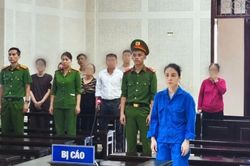 Nữ nhân viên ngân hàng lừa đảo chiếm đoạt hơn 33 tỷ đồng