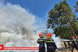 Cháy rừng phòng hộ ven biển ở Quảng Ngãi