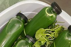 Uống nước rau má rất tốt nhưng đại kỵ với 3 nhóm người