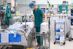 Số ca bệnh tăng đột biến, TPHCM nâng cao mức cảnh giác dịch sốt xuất huyết