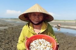 Bà lão U80 phơi mình nhiều giờ dưới nắng gắt, còng lưng săn lộc trời