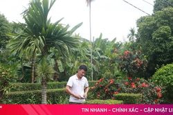 Về miền quê xanh ở xã Hương Phố