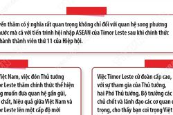Quan hệ hữu nghị hợp tác Việt Nam-Timor-Leste