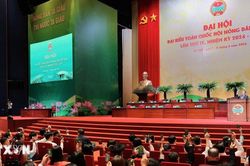 Phiên thứ nhất Đại hội IX Hội Nông dân Việt Nam