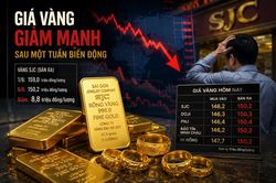 Vàng chao đảo sau 1 tuần biến động, không vội 'bắt đáy'