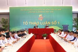Đề xuất xây dựng hệ sinh thái số kết nối toàn diện cho nông dân