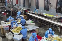 Băng dính từ tre mở hướng giảm ô nhiễm nhựa
