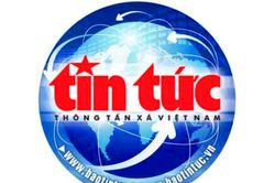 Điện Biên: Nhiều gia súc bị chết nghi do thú dữ tấn công