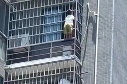 Bé trai 4 tuổi trèo ra ngoài cửa sổ tầng 17 chung cư và cái kết khiến tất cả thở phào