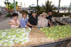 Từng bước đưa trái xoài thành ngành hàng xuất khẩu chủ lực