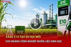 Xăng E10 tạo dư địa mới cho ngành công nghiệp nhiên liệu sinh học