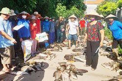 Chung ao cá, thắm tình làng