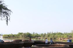 Tổ chức Festival Thuyền thúng, được hay không?
