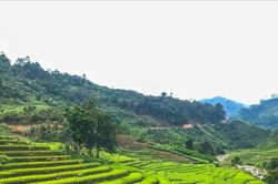 Gian nan đời ruộng bậc thang