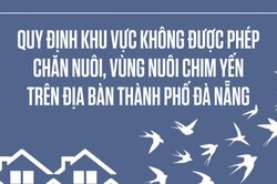 Quy định khu vực không được phép chăn nuôi, vùng nuôi chim yến trên địa bàn thành phố Đà Nẵng