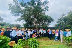Đồng h&agrave;nh c&ugrave;ng n&ocirc;ng d&acirc;n thay đổi tư duy sản xuất