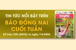 Tin tức nổi bật trên Báo Đồng Nai cuối tuần ra ngày 7-6-2026