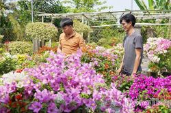 Tập trung phát triển khoa học, công nghệ, đổi mới sáng tạo và chuyển đổi số