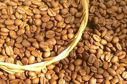 Ngày 7-6, cà phê giảm thêm 600 đồng/kg