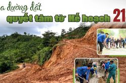 Xóa đường đất quyết tâm từ Kế hoạch 213